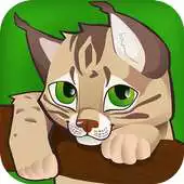 Free play online Zoo Care 3D APK Free play online Zoo Care 3D APK