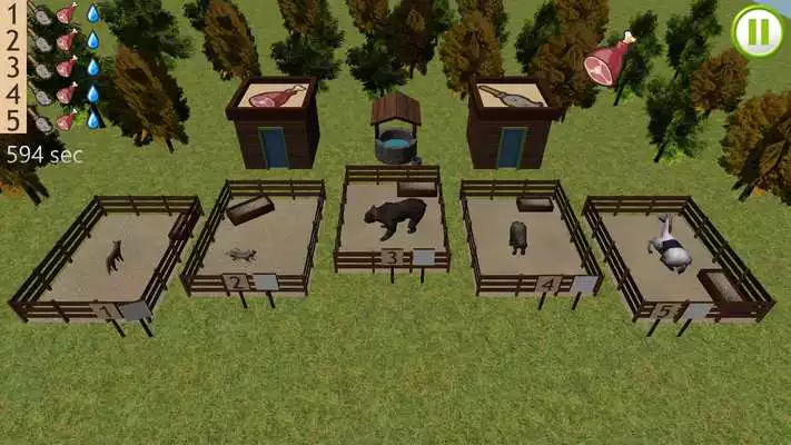Play Zoo Care 3D