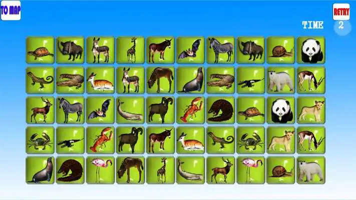 Play Zoo Connect Classic