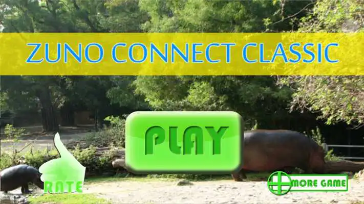 Play Zoo Connect Classic
