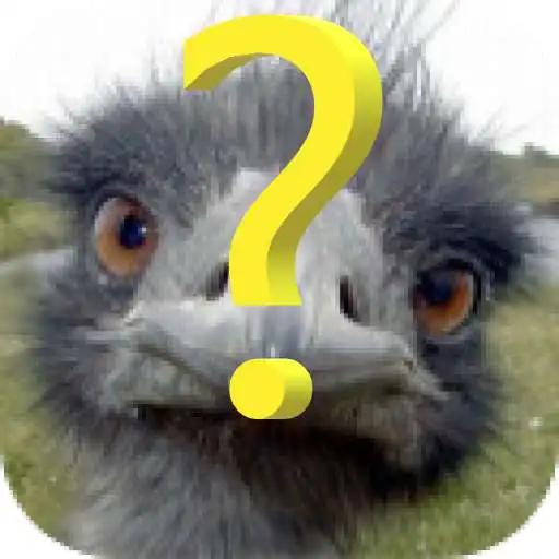 Free play online ZooDroid APK Free play online ZooDroid APK