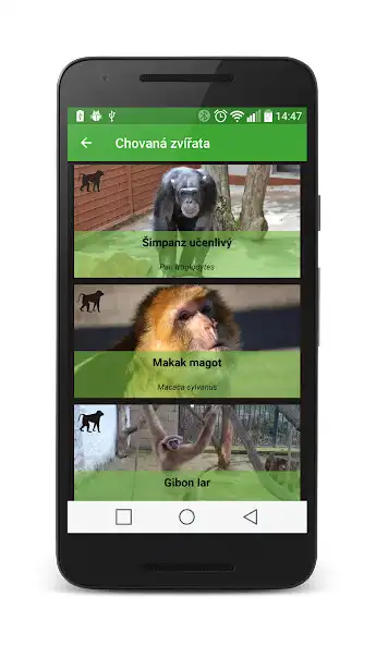 Play ZOO Dvorec as an online game ZOO Dvorec with UptoPlay