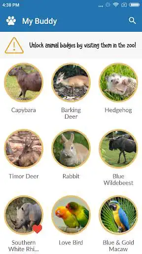 Play Zoogleland at Zoo Melaka as an online game Zoogleland at Zoo Melaka with UptoPlay