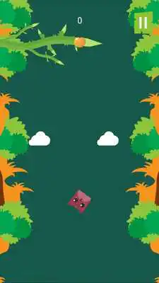 Play Zoo Hopper