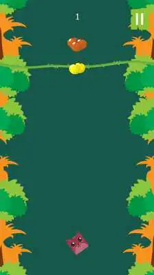 Play Zoo Hopper