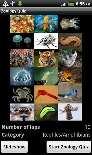 Play Zoology Quiz - name the animal  and enjoy Zoology Quiz - name the animal with UptoPlay