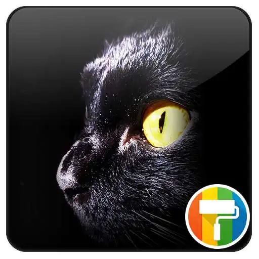 Play Zoom Glass Shadows APK Play Zoom Glass Shadows APK