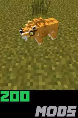 Play Zoo Mods List For MCPE