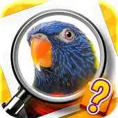 Free play online Zoom Quiz APK