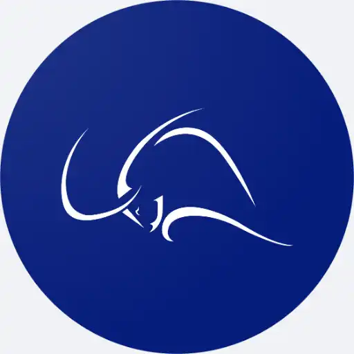 Play ZoomStocks APK Play ZoomStocks APK