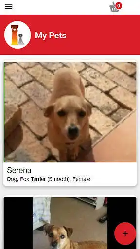 Play Zoopa - Lost and Found Pets  and enjoy Zoopa - Lost and Found Pets with UptoPlay