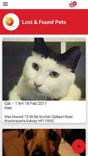 Play Zoopa - Lost and Found Pets as an online game Zoopa - Lost and Found Pets with UptoPlay