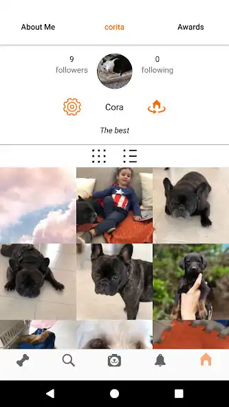 Play ZoopixSTG  and enjoy ZoopixSTG with UptoPlay