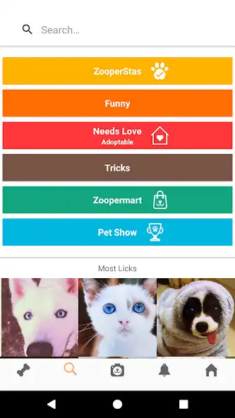 Play ZoopixSTG as an online game ZoopixSTG with UptoPlay
