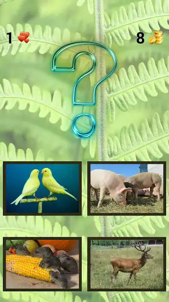 Play ZOO sounds quiz as an online game ZOO sounds quiz with UptoPlay