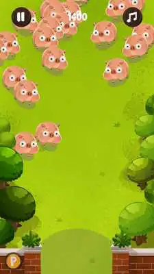 Play Zoo Strike