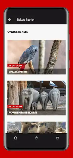 Play Zoo Zurich as an online game Zoo Zurich with UptoPlay