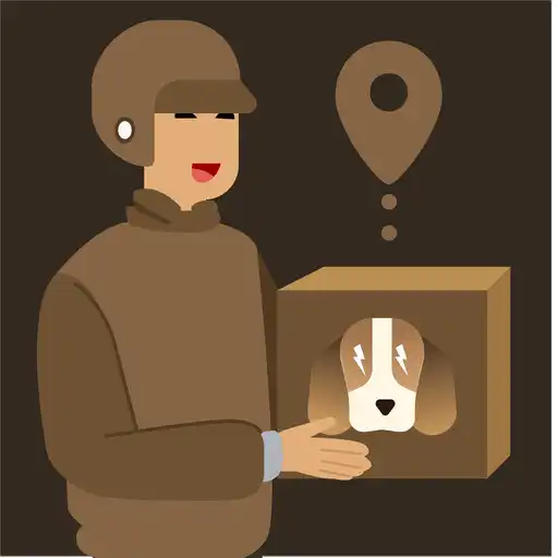 Play Zorrro Partner APK