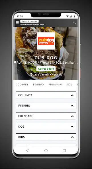 Play ZUB DOG  CIA DELIVERY  and enjoy ZUB DOG  CIA DELIVERY with UptoPlay