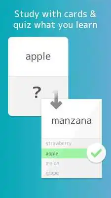 Play ZuKnow - Social Flashcards