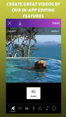 Play Zupercam: Viral Videos