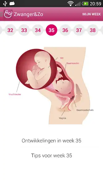 Play Zwanger en Zo  and enjoy Zwanger en Zo with UptoPlay