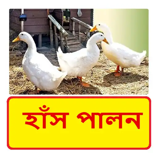 Play হাঁস পালন ~ Duck Farming APK