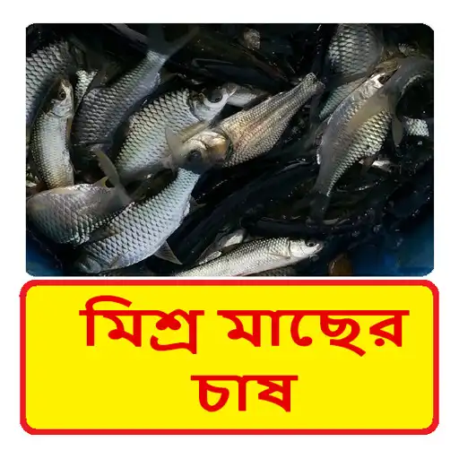 Play মিশ্র মাছের চাষ ~ Fish Farming APK