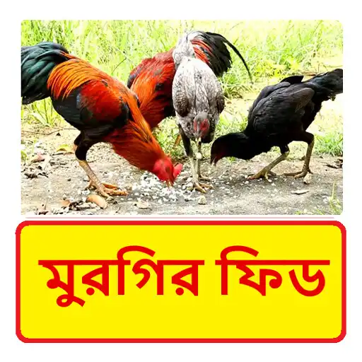 Play মুরগির ফিড ~ Hen Poultry Feed APK