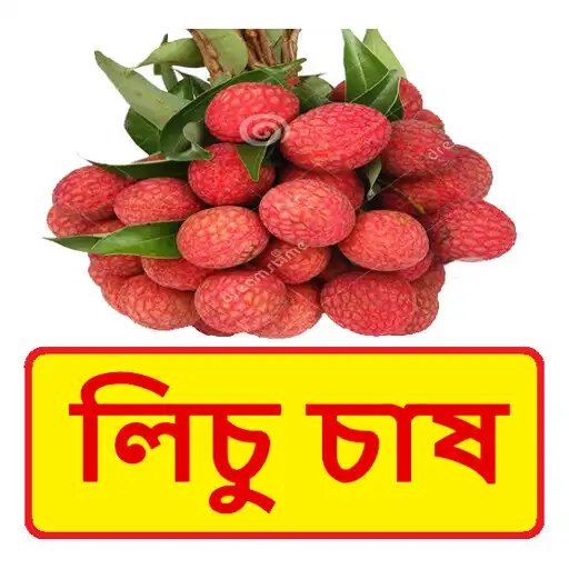 Play লিচু চাষ ~ Litchi Cultivation APK