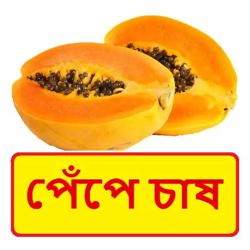 Play পেঁপে চাষ ~ Papaya Cultivation APK