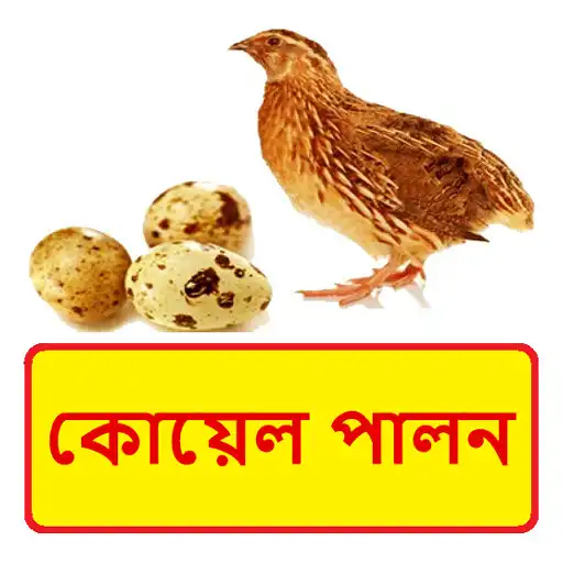 Play কোয়েল পালন ~ Quail Farming APK