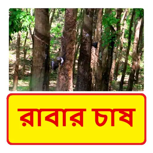 Play রাবার চাষ ~ Rubber plantation APK