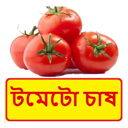 Play টমেটো চাষ ~ Tomato Cultivation APK