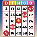 Play online Bingo - Offline Bingo Games